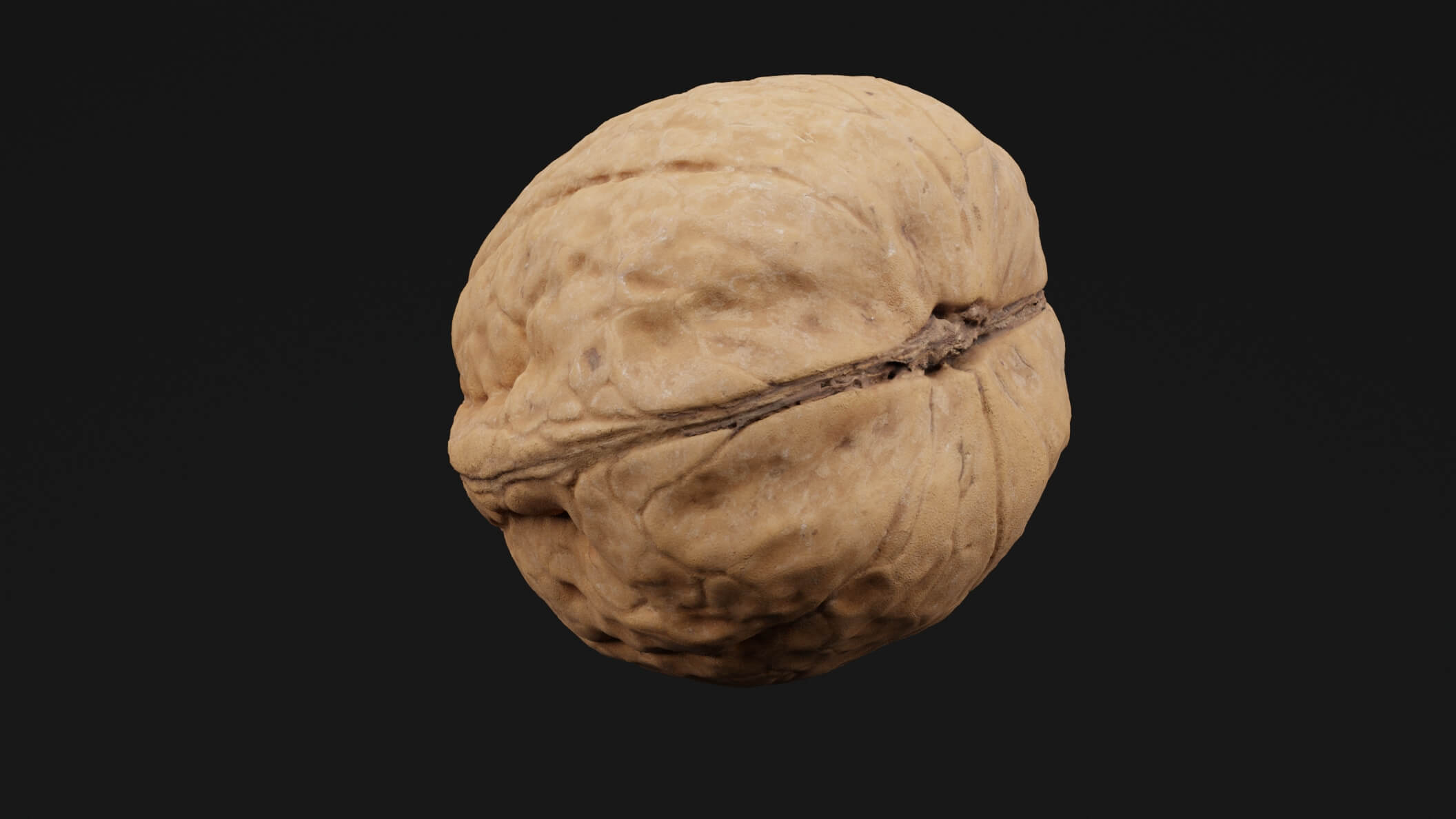 Walnut Fruit Nuts - 3D Model by Green Lander