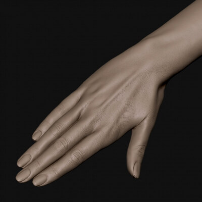 Realistic Female Hand 10 - 3D Model by grihaos001