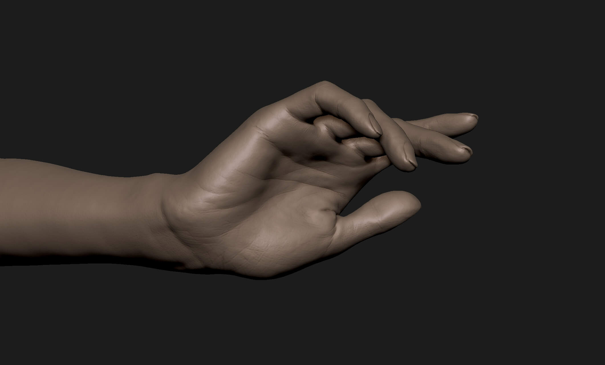 Realistic Female Hand 2 - 3D Print Model by grihaos001