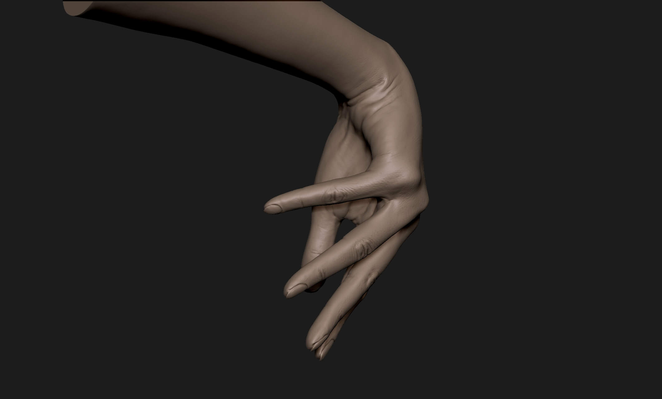 Realistic Female Hand 5 - 3D Print Model by grihaos001