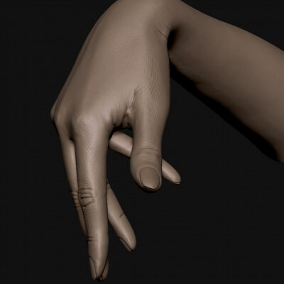 Realistic Female Hand 5 - 3D Model by grihaos001