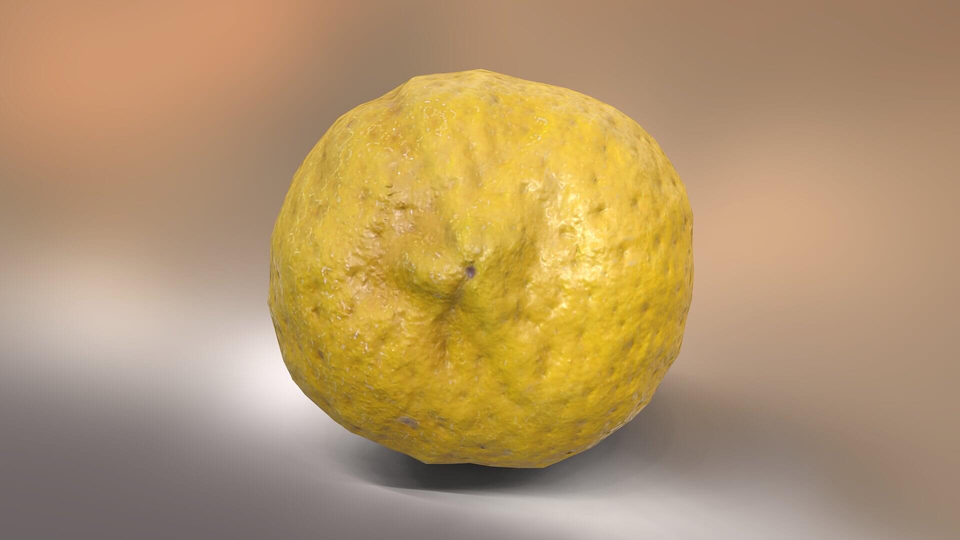Lemon 3D Model by Grishmanovskij Anton