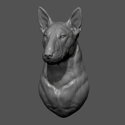 Bull Terrier Bust