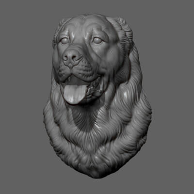 Central Asian Shepherd Dog Alabai Bust