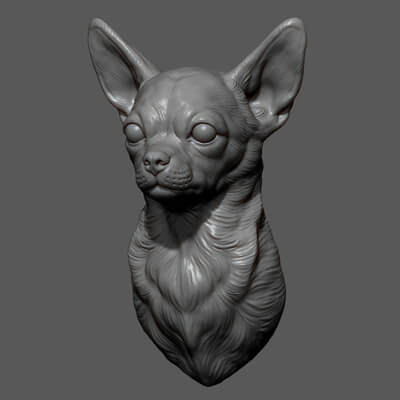 Chihuahua Bust