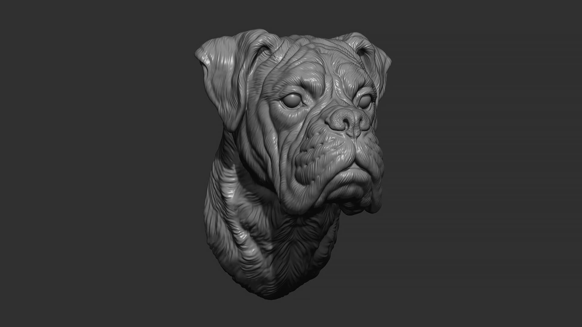 Deutscher Boxer Bust 3D Print Model by guninnik81