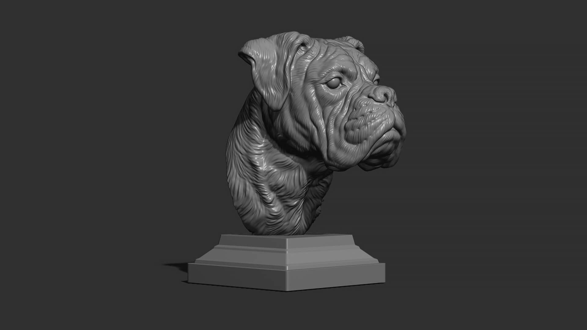 Deutscher Boxer Bust 3D Print Model by guninnik81