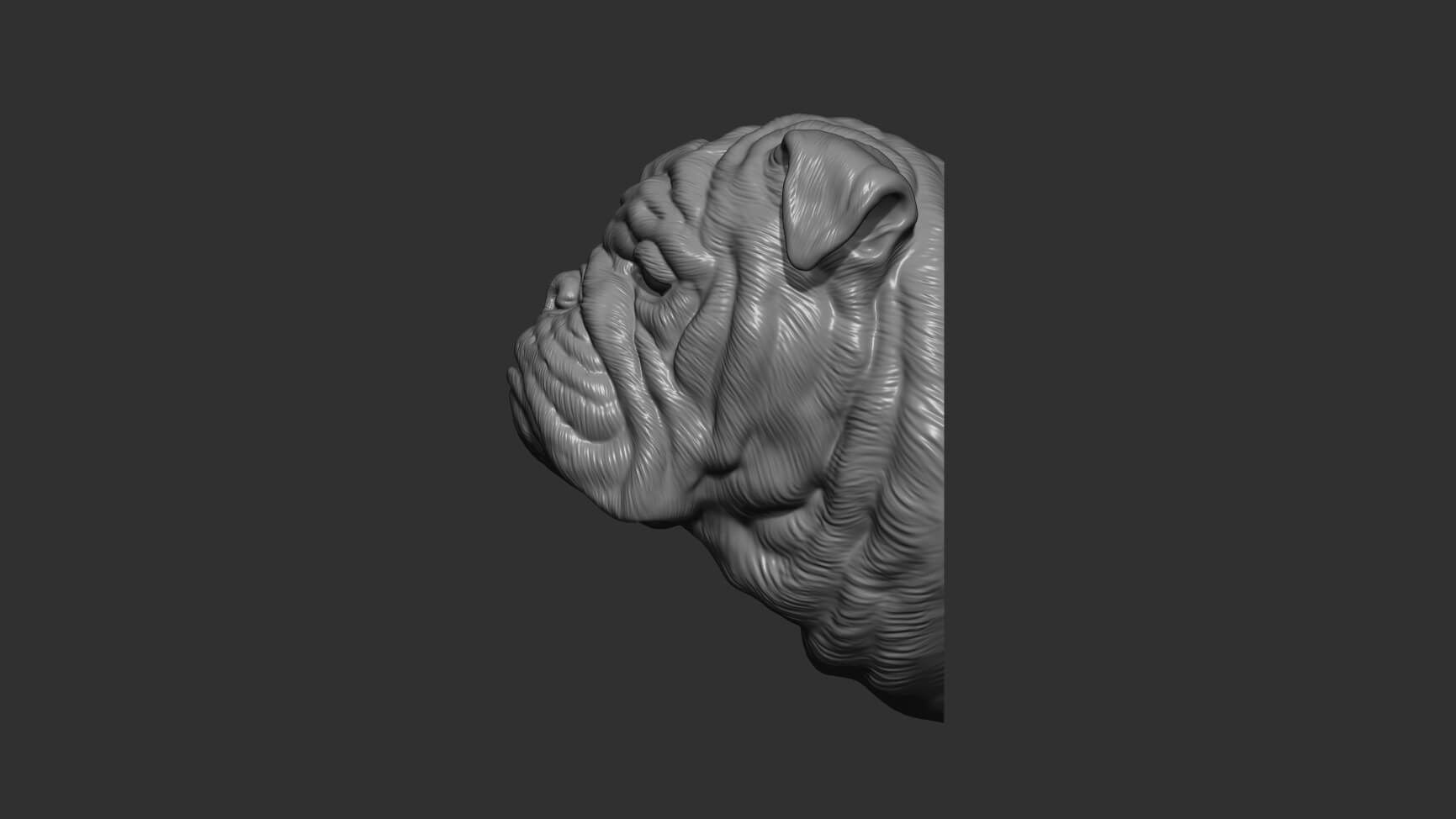 English Bulldog Bust 3D Model by guninnik81