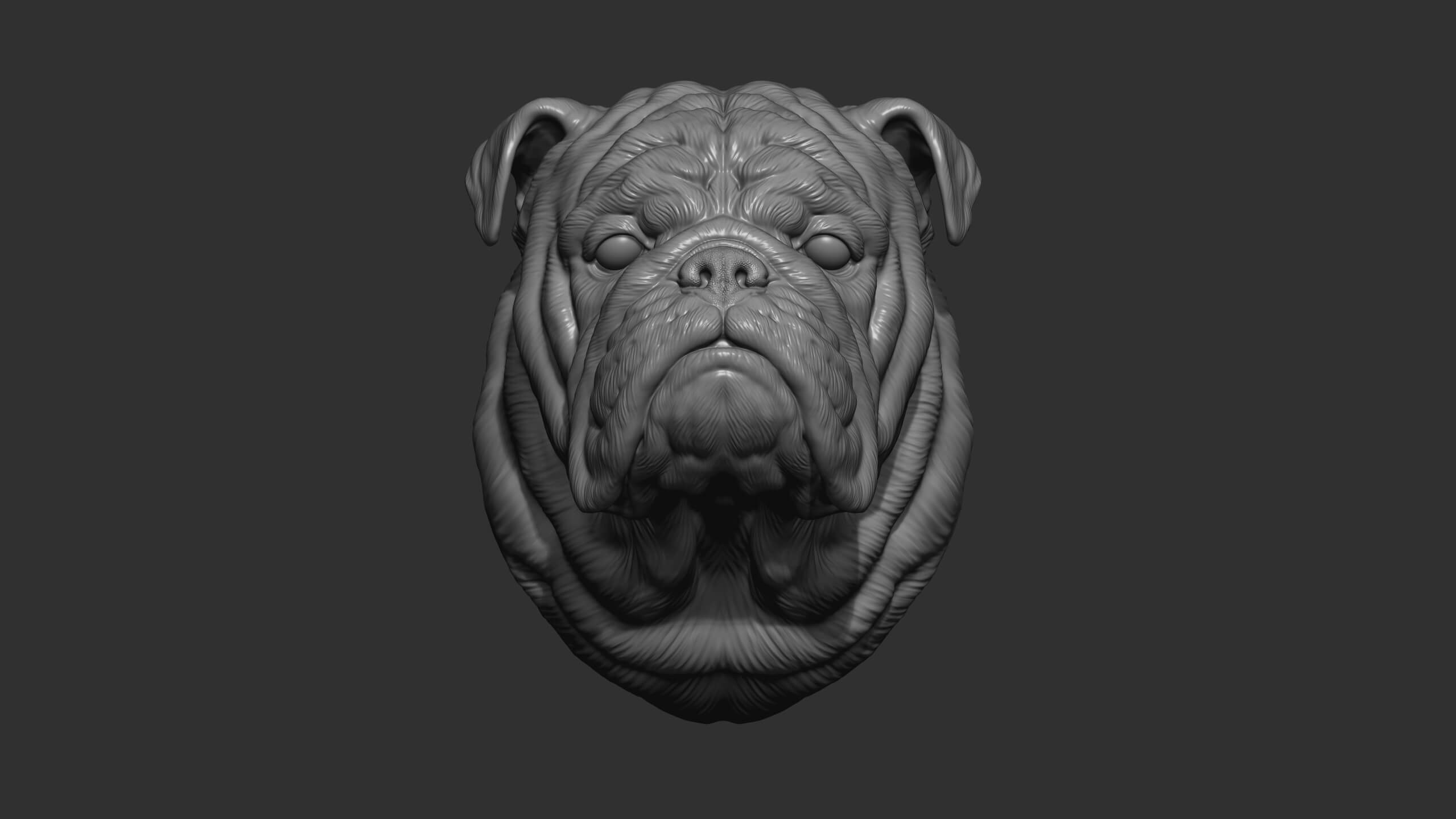English Bulldog Bust 3D Model by guninnik81