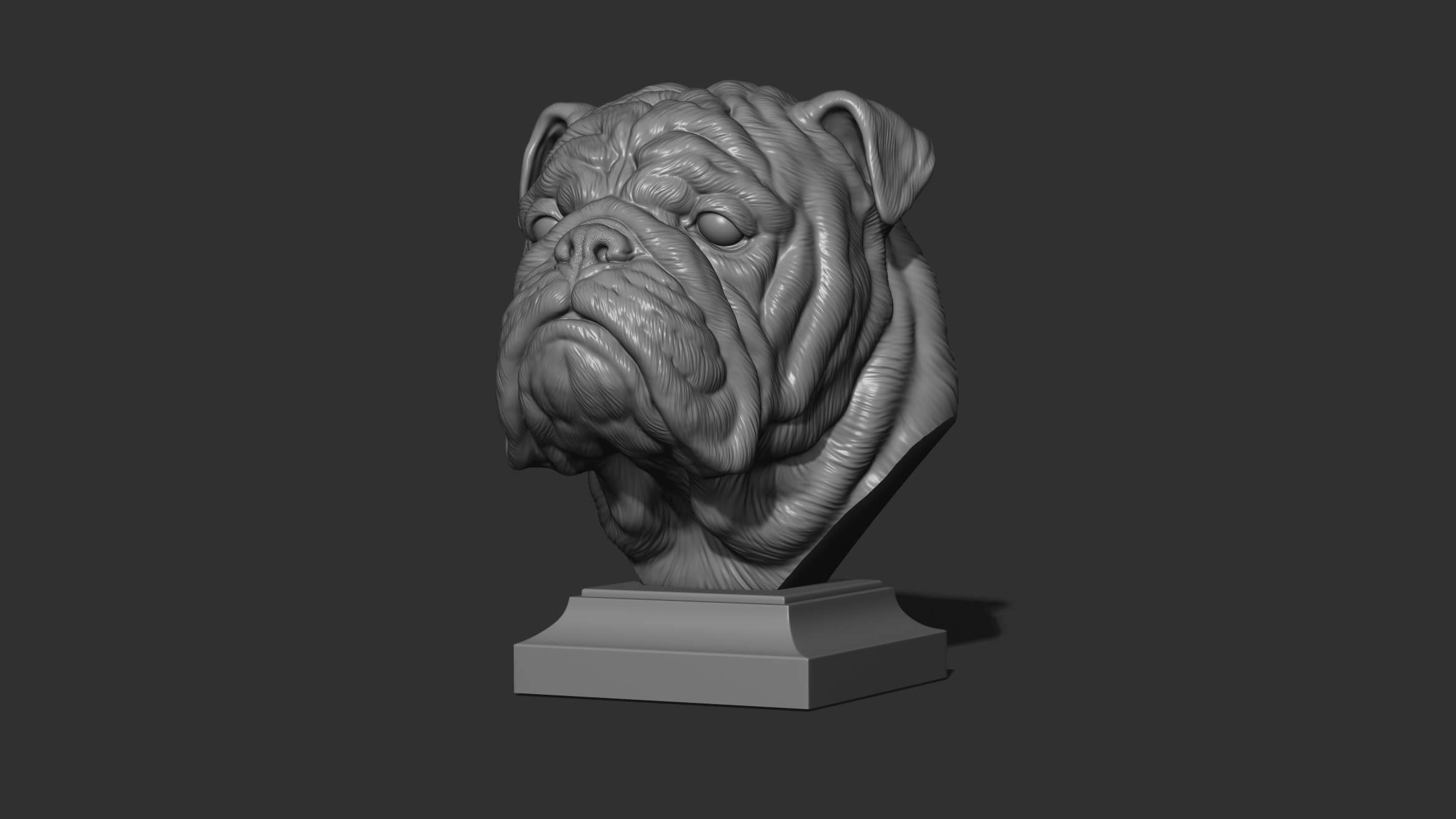 English Bulldog Bust 3D Model by guninnik81