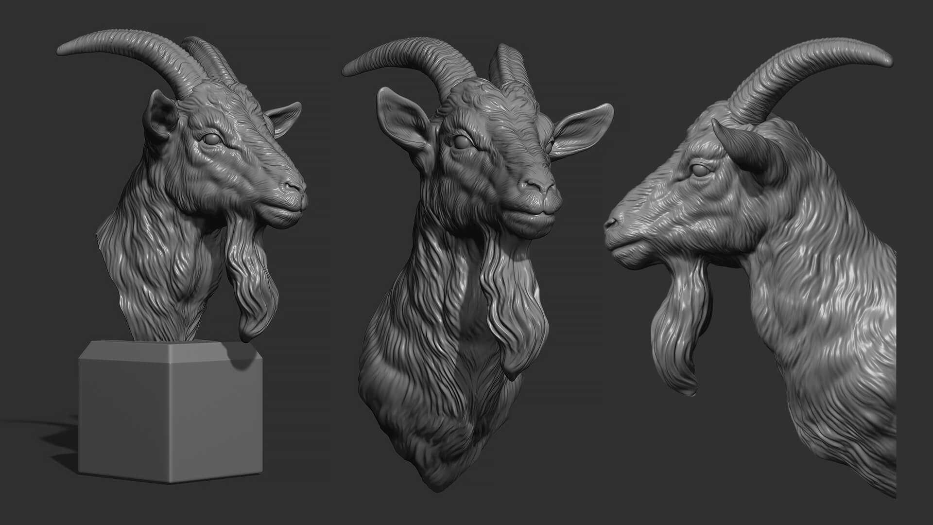 Goat Head Bust 3D Print Model by guninnik81