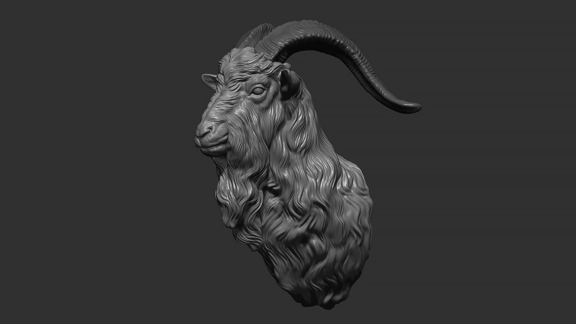 Goat Head - 3D Print Model by guninnik81