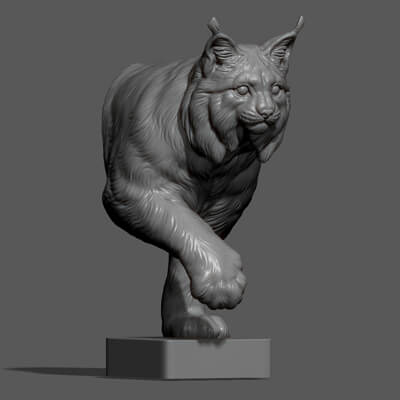 Lynx Walking Bust