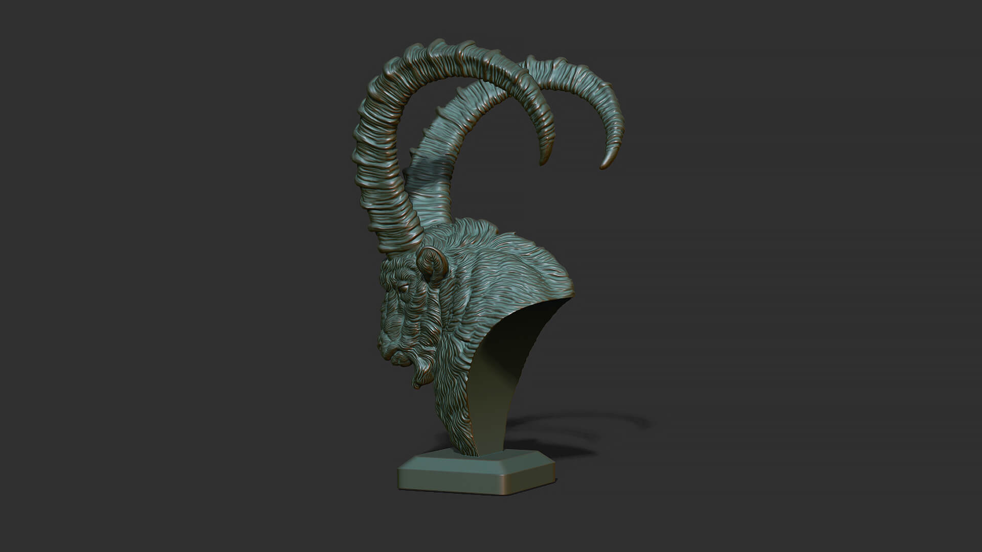 Nubian Ibex Bust - 3D Print Model by guninnik81