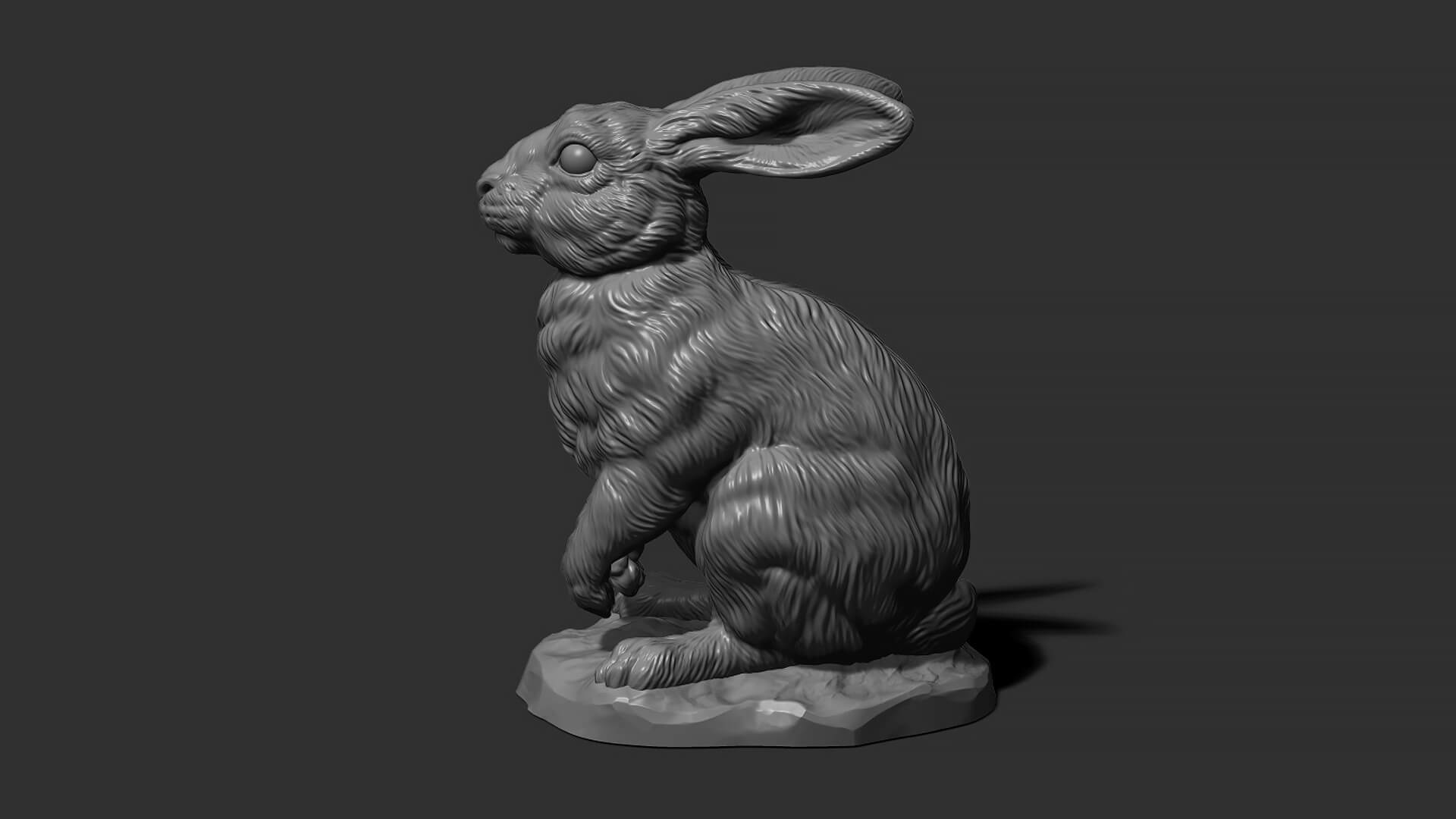 Modelpiring Rabbit Rabbit Sitting - 3D Model by guninnik81