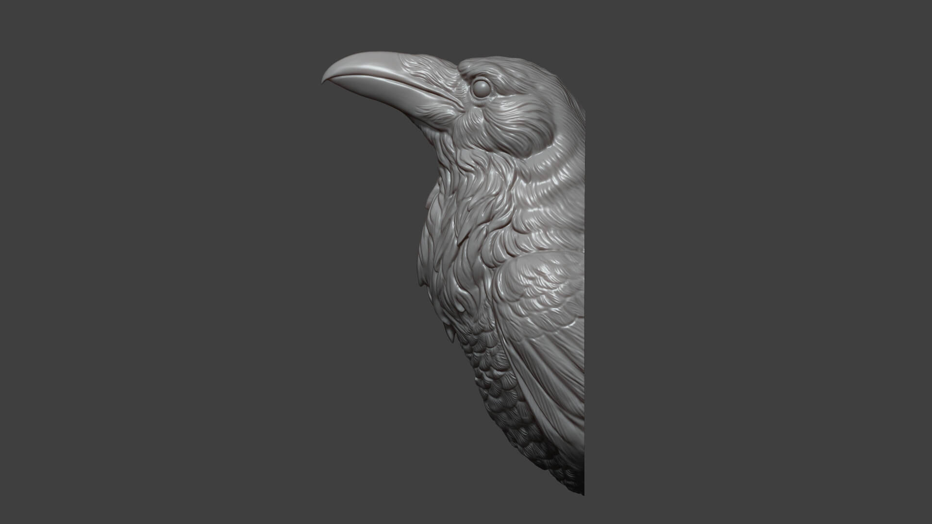 Raven Head Bust 3D Print Model by guninnik81