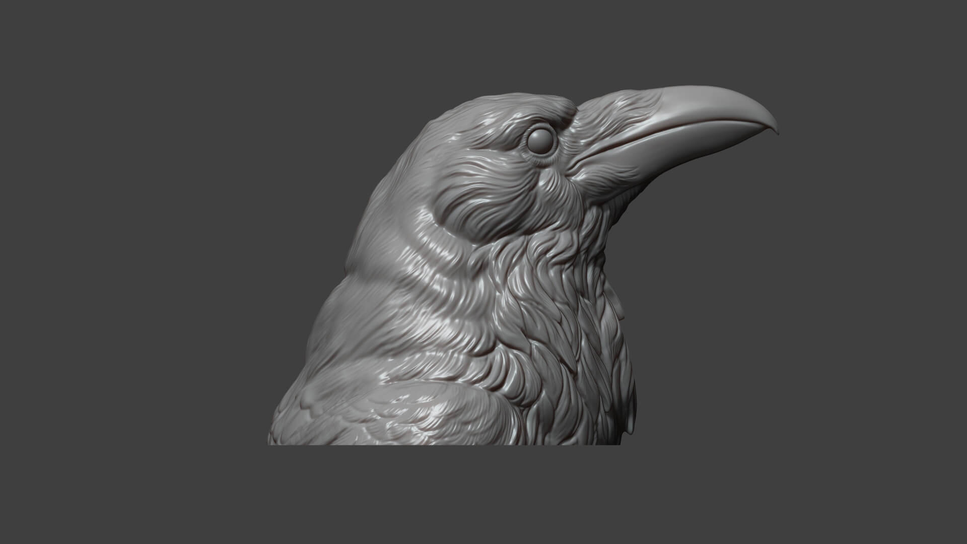 Raven Head Bust 3D Print Model by guninnik81