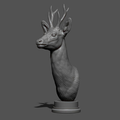 Roe Deer Bust