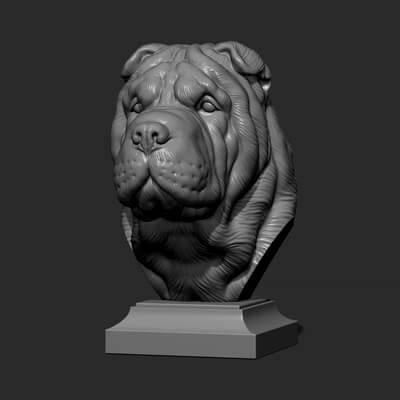 Shar Pei Dog Head