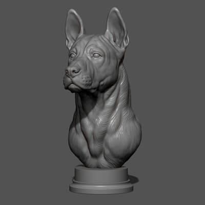 Thai Ridgeback Dog Head