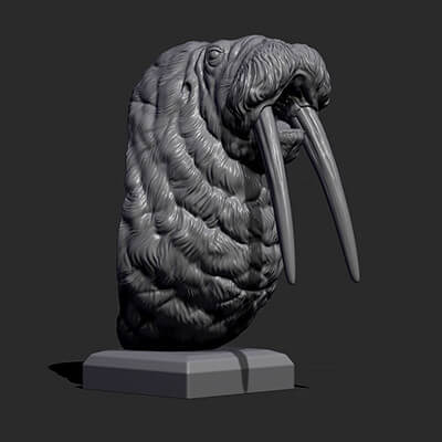 Walrus Bust