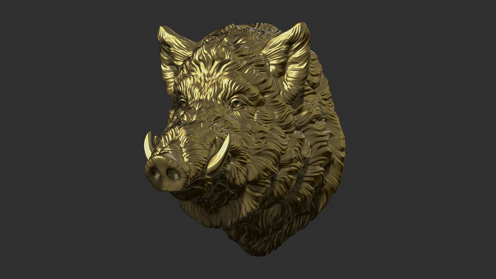 Wild Boar Head 3D Print Model by guninnik81