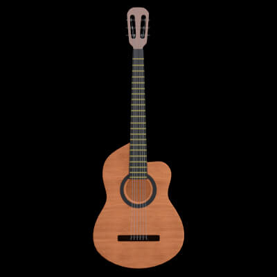 Acoustic Guitar