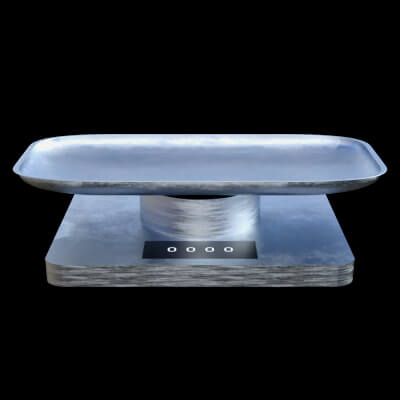 Baby Scale for Genesis