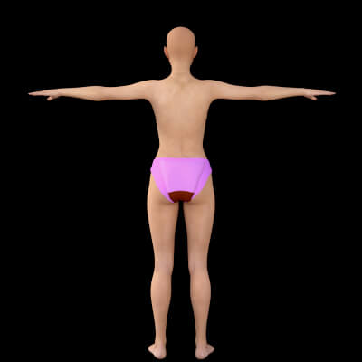 Diaper for G3F and G3M
