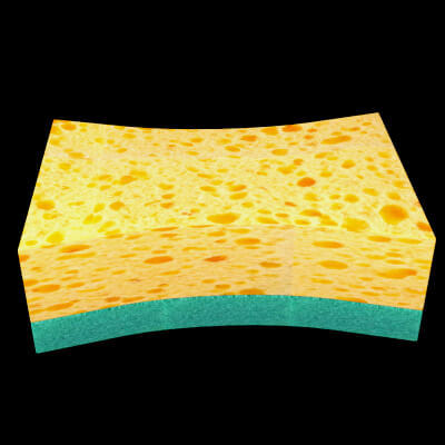 Dish Sponge for Genesis