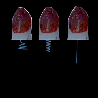 Menstruation Tampon for G8F by guy91600