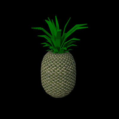 Pineapple and Slice