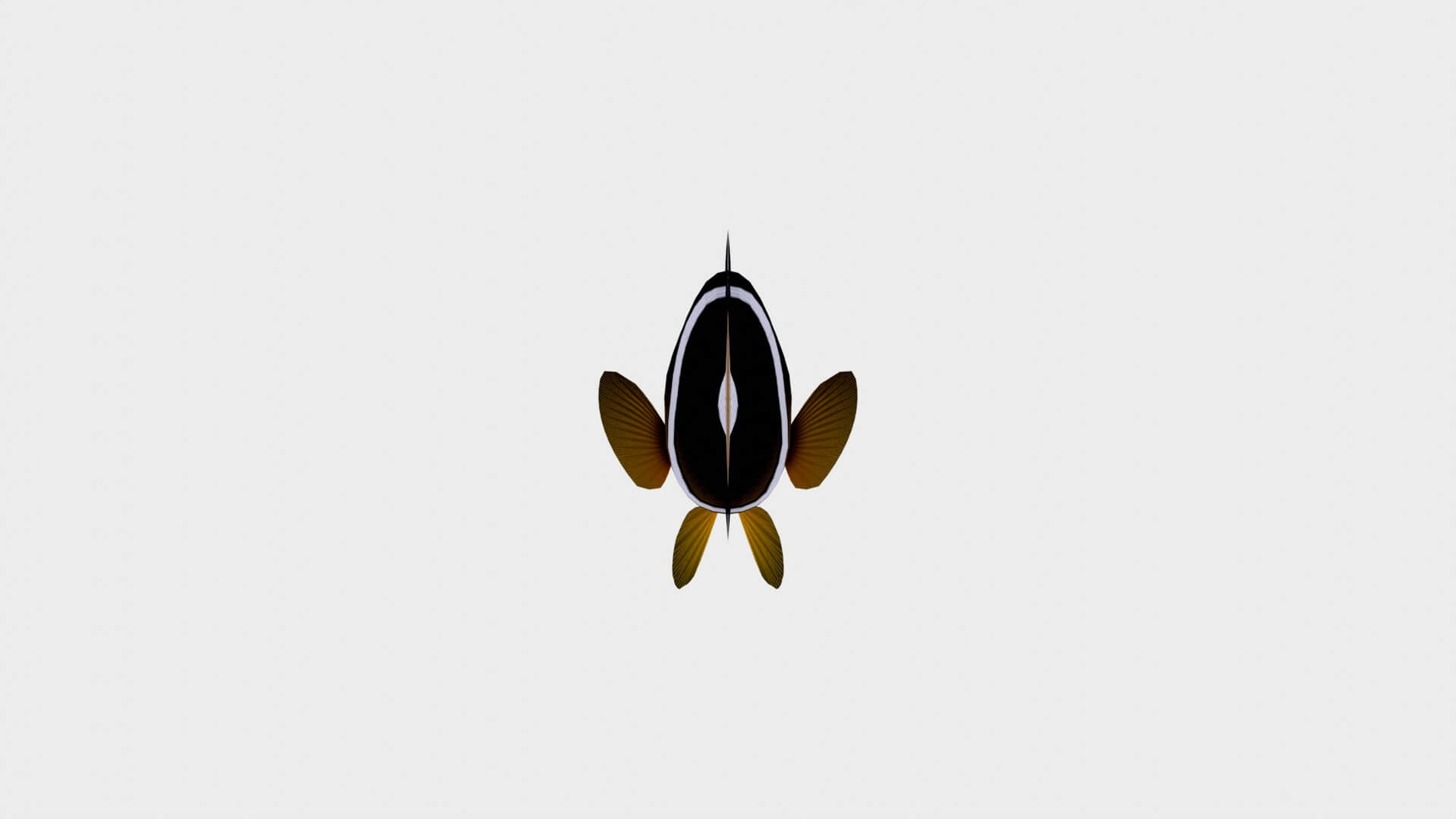 Clarki Clown Fish 3D Model by H3afDya