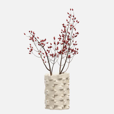 Ceramic Bolt Vase by Floris Wubben Rosehip