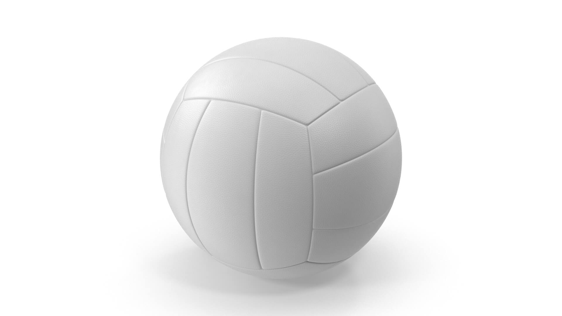 Leather Volleyball 3D Model by hdpoly