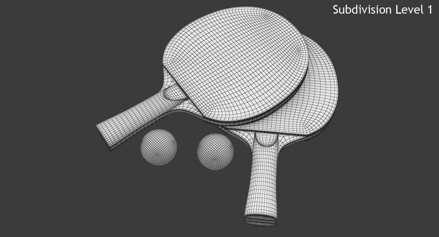 Ping Pong Paddle 3D Model by hdpoly