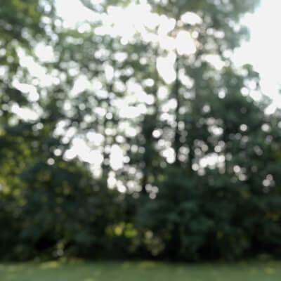HX 8K Blurred Backgrounds 1
