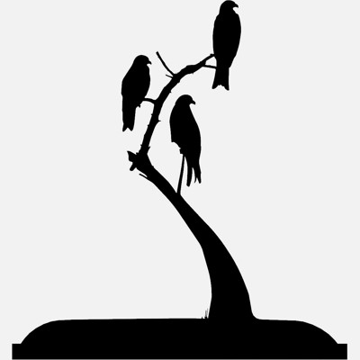 The Birds Silhouette of Birds of Prey Sitting in Tree