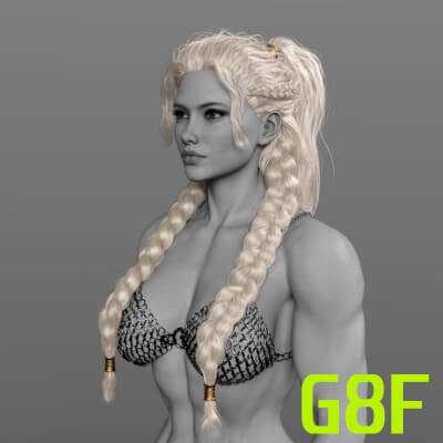 IIIDM Shieldmaiden Hair for Genesis 8 Female
