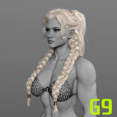 IIIDM Shieldmaiden Hair for Genesis 9