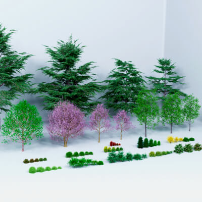 Bundle French Plants and Trees - Home Outdoor Garden
