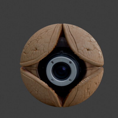 Walnut Shell Camera Prop &ndash Realistic Novelty Tech 3D M by Imsanjay