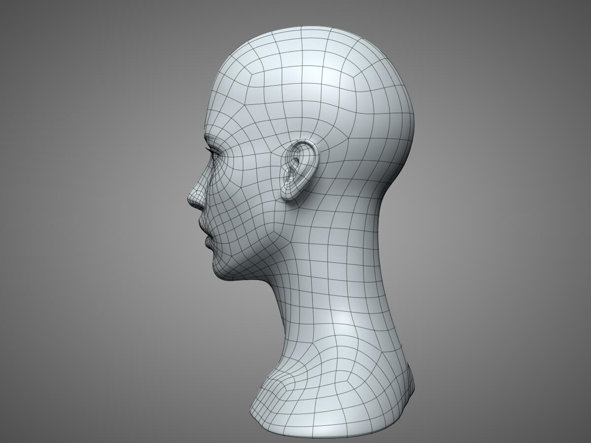 Female Head 3 - 3D Model by IndieArt