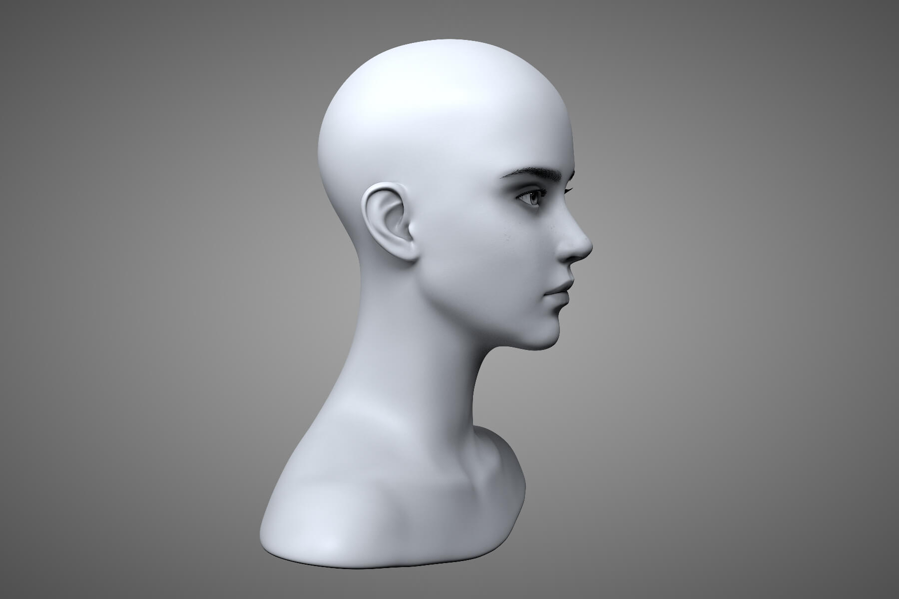 Young Female Head - 3D Model by IndieArt