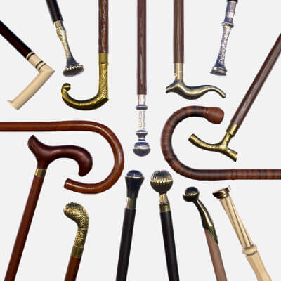 Walking Sticks 3d Model By Inveni