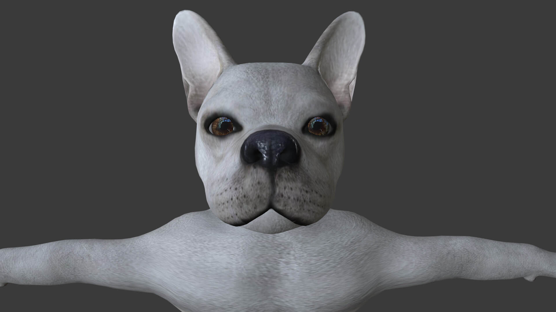 HBUL-002 Rigged Dog 3D Model by IpoyPunk