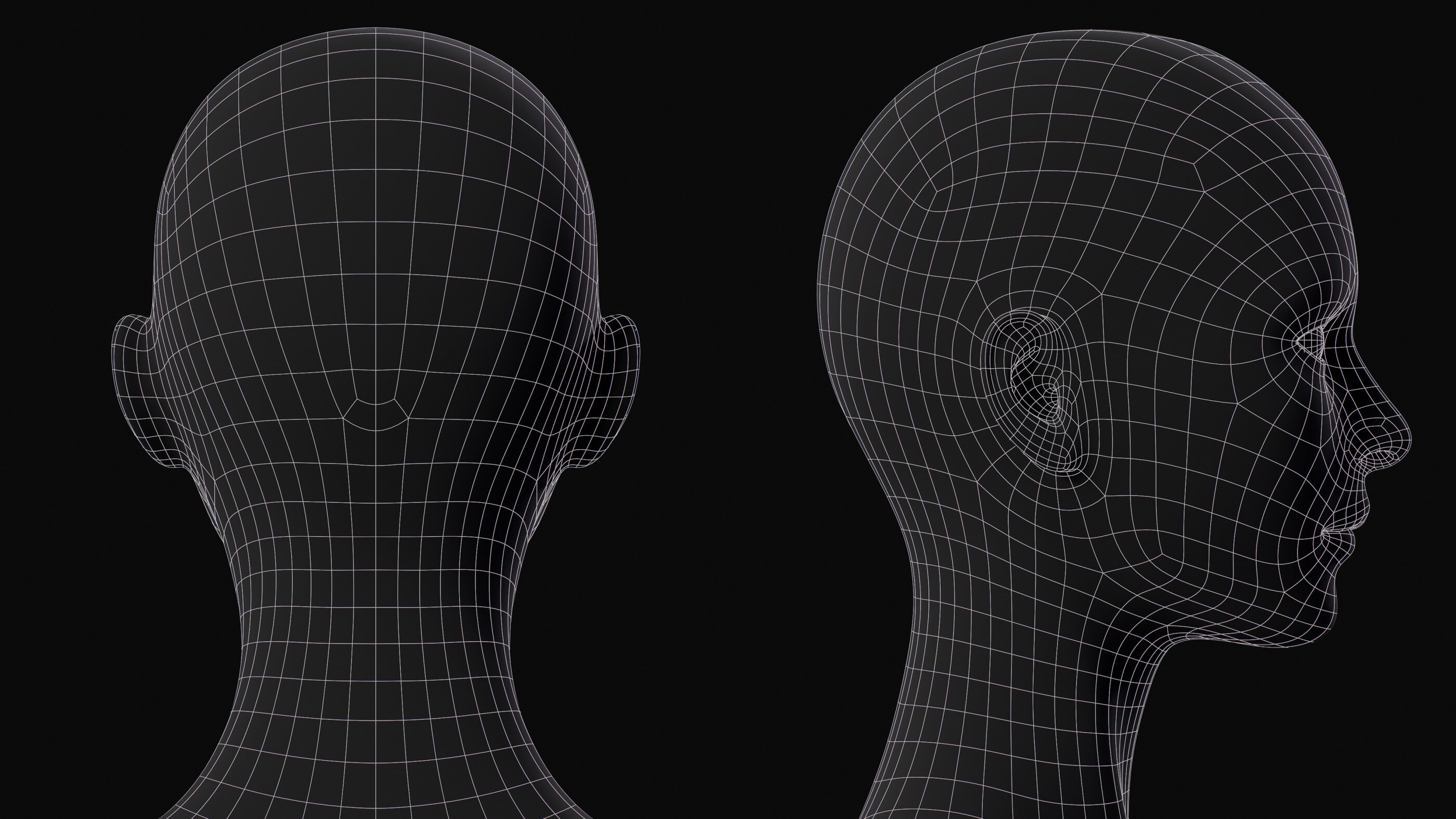 Ax3 mesh. 3d mesh. mesh модель. голова человека сеткой.