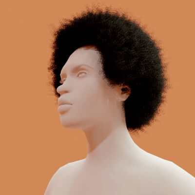 Afro Black Hairstyle