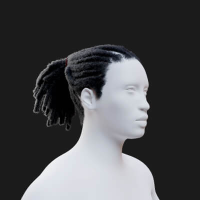 Dreadlocs Ponytail