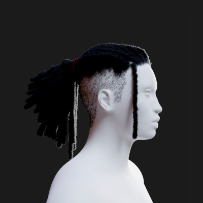 Dreadlocs Ponytail With Fade